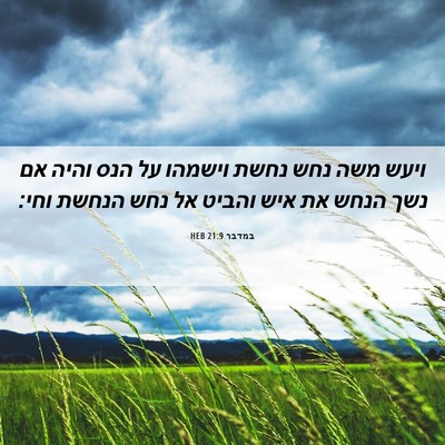 Picture 06 - במדבר 21:9 HEB - ויעש משה נחש נחשת וישמהו על - Bible Verse Picture