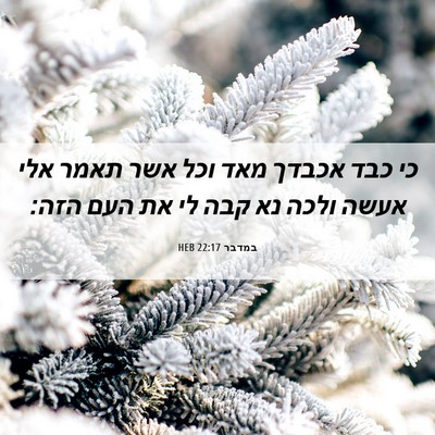 Picture 06 - במדבר 22:17 HEB - כי כבד אכבדך מאד וכל אשר - Bible Verse Picture