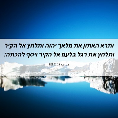 Picture 06 - במדבר 22:25 HEB - ותרא האתון את מלאך יהוה - Bible Verse Picture