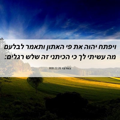 Picture 06 - במדבר 22:28 HEB - ויפתח יהוה את פי האתון - Bible Verse Picture
