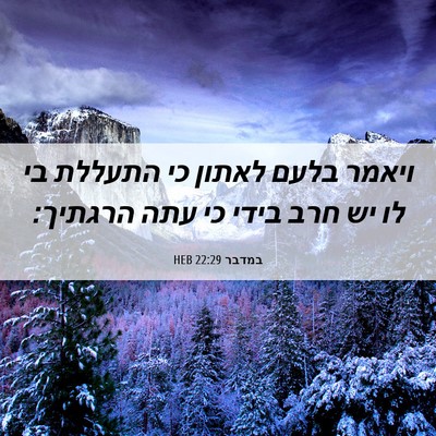Picture 06 - במדבר 22:29 HEB - ויאמר בלעם לאתון כי התעללת - Bible Verse Picture