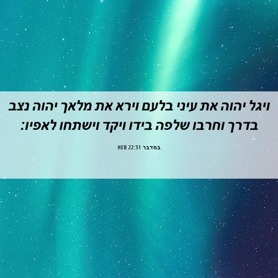 Picture 06 - במדבר 22:31 HEB - ויגל יהוה את עיני בלעם וירא - Bible Verse Picture