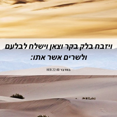 Picture 06 - במדבר 22:40 HEB - ויזבח בלק בקר וצאן וישלח - Bible Verse Picture