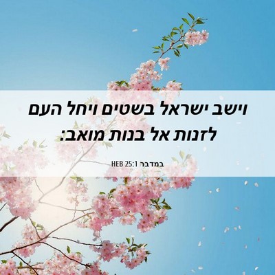 Picture 06 - במדבר 25:1 HEB - וישב ישראל בשטים ויחל העם - Bible Verse Picture