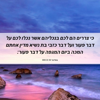Picture 06 - במדבר 25:18 HEB - כי צררים הם לכם בנכליהם אשר - Bible Verse Picture