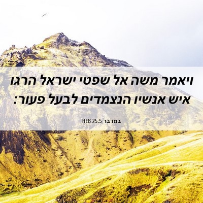 Picture 06 - במדבר 25:5 HEB - ויאמר משה אל שפטי ישראל - Bible Verse Picture