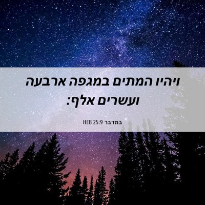 Picture 06 - במדבר 25:9 HEB - ויהיו המתים במגפה ארבעה - Bible Verse Picture
