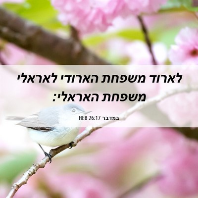 Picture 06 - במדבר 26:17 HEB - לארוד משפחת הארודי לאראלי - Bible Verse Picture