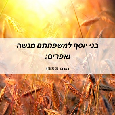 Picture 06 - במדבר 26:28 HEB - בני יוסף למשפחתם מנשה - Bible Verse Picture