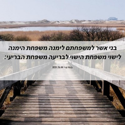 Picture 06 - במדבר 26:44 HEB - בני אשר למשפחתם לימנה - Bible Verse Picture
