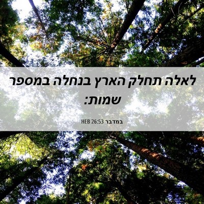Picture 06 - במדבר 26:53 HEB - לאלה תחלק הארץ בנחלה במספר - Bible Verse Picture