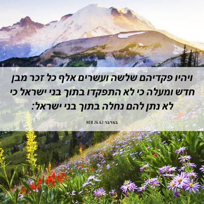 Picture 06 - במדבר 26:62 HEB - ויהיו פקדיהם שלשה ועשרים - Bible Verse Picture
