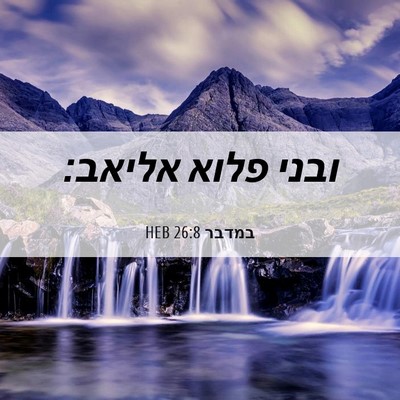 Picture 06 - במדבר 26:8 HEB - ובני פלוא - Bible Verse Picture