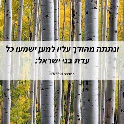 Picture 06 - במדבר 27:20 HEB - ונתתה מהודך עליו למען - Bible Verse Picture