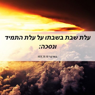 Picture 06 - במדבר 28:10 HEB - עלת שבת בשבתו על עלת התמיד - Bible Verse Picture