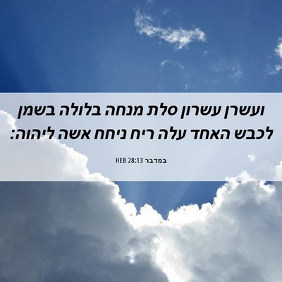 Picture 06 - במדבר 28:13 HEB - ועשרן עשרון סלת מנחה בלולה - Bible Verse Picture