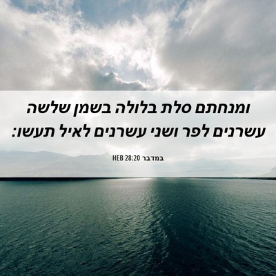 Picture 06 - במדבר 28:20 HEB - ומנחתם סלת בלולה בשמן שלשה - Bible Verse Picture