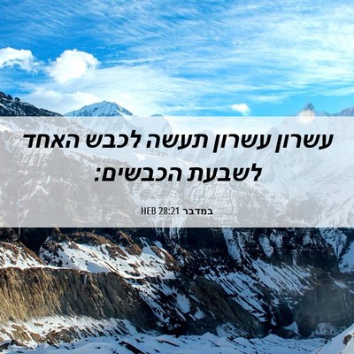 Picture 06 - במדבר 28:21 HEB - עשרון עשרון תעשה לכבש האחד - Bible Verse Picture