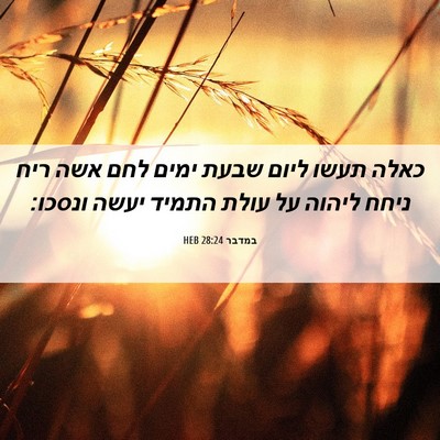 Picture 06 - במדבר 28:24 HEB - כאלה תעשו ליום שבעת ימים - Bible Verse Picture
