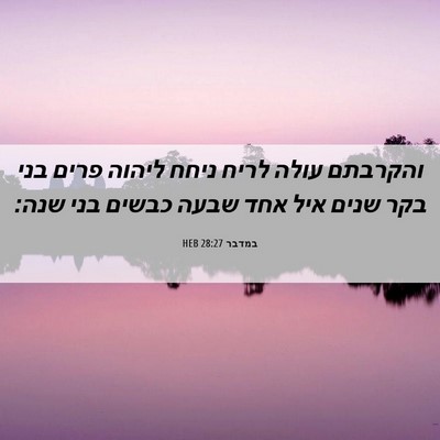 Picture 06 - במדבר 28:27 HEB - והקרבתם עולה לריח ניחח - Bible Verse Picture