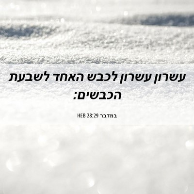 Picture 06 - במדבר 28:29 HEB - עשרון עשרון לכבש האחד - Bible Verse Picture