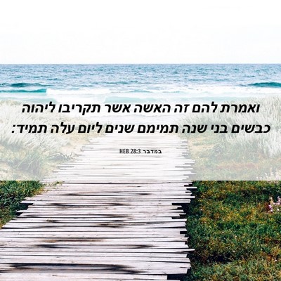 Picture 06 - במדבר 28:3 HEB - ואמרת להם זה האשה אשר - Bible Verse Picture