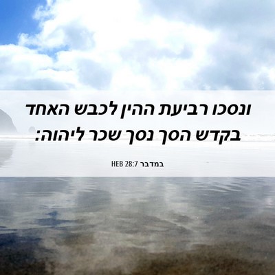 Picture 06 - במדבר 28:7 HEB - ונסכו רביעת ההין לכבש האחד - Bible Verse Picture
