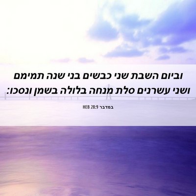 Picture 06 - במדבר 28:9 HEB - וביום השבת שני כבשים בני - Bible Verse Picture