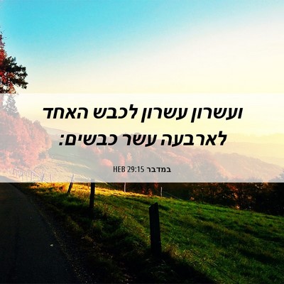 Picture 06 - במדבר 29:15 HEB - ועשרון עשרון לכבש האחד - Bible Verse Picture