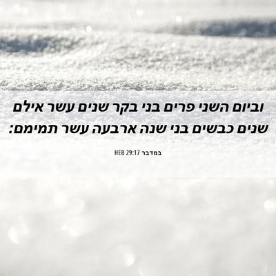 Picture 06 - במדבר 29:17 HEB - וביום השני פרים בני בקר - Bible Verse Picture