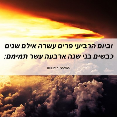 Picture 06 - במדבר 29:23 HEB - וביום הרביעי פרים עשרה - Bible Verse Picture