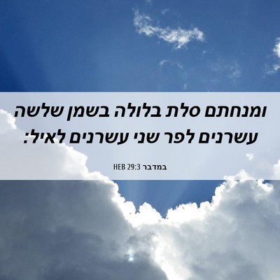Picture 06 - במדבר 29:3 HEB - ומנחתם סלת בלולה בשמן שלשה - Bible Verse Picture
