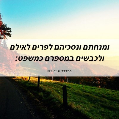 Picture 06 - במדבר 29:30 HEB - ומנחתם ונסכיהם לפרים לאילם - Bible Verse Picture