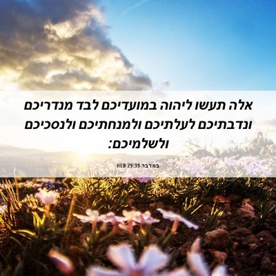 Picture 06 - במדבר 29:39 HEB - אלה תעשו ליהוה במועדיכם - Bible Verse Picture