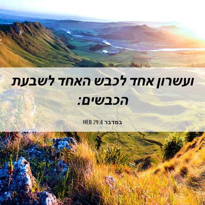 Picture 06 - במדבר 29:4 HEB - ועשרון אחד לכבש האחד לשבעת - Bible Verse Picture