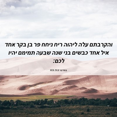 Picture 06 - במדבר 29:8 HEB - והקרבתם עלה ליהוה ריח ניחח - Bible Verse Picture