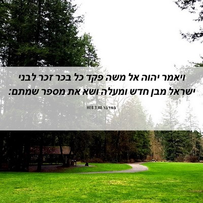 Picture 06 - במדבר 3:40 HEB - ויאמר יהוה אל משה פקד כל - Bible Verse Picture