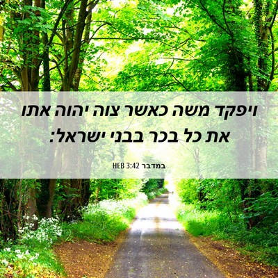 Picture 06 - במדבר 3:42 HEB - ויפקד משה כאשר צוה יהוה אתו - Bible Verse Picture
