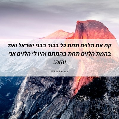Picture 06 - במדבר 3:45 HEB - קח את הלוים תחת כל בכור - Bible Verse Picture