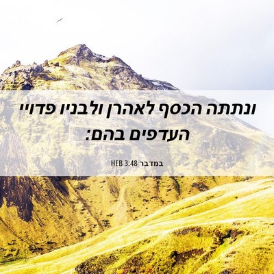 Picture 06 - במדבר 3:48 HEB - ונתתה הכסף לאהרן ולבניו - Bible Verse Picture