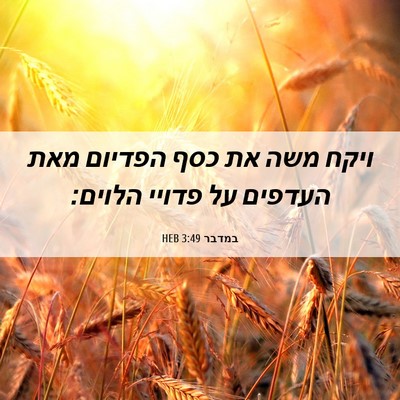 Picture 06 - במדבר 3:49 HEB - ויקח משה את כסף הפדיום מאת - Bible Verse Picture