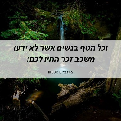 Picture 06 - במדבר 31:18 HEB - וכל הטף בנשים אשר לא ידעו - Bible Verse Picture