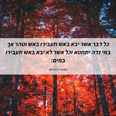 Picture 06 - במדבר 31:23 HEB - כל דבר אשר יבא באש תעבירו - Bible Verse Picture
