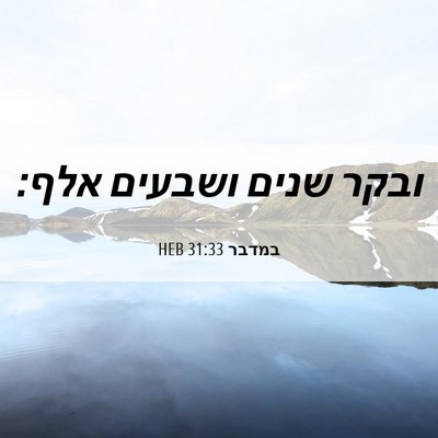 Picture 06 - במדבר 31:33 HEB - ובקר שנים ושבעים - Bible Verse Picture