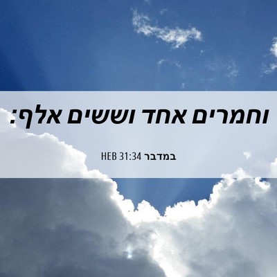 Picture 06 - במדבר 31:34 HEB - וחמרים אחד וששים - Bible Verse Picture