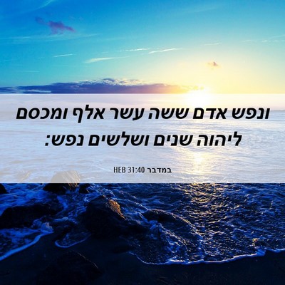 Picture 06 - במדבר 31:40 HEB - ונפש אדם ששה עשר אלף ומכסם - Bible Verse Picture