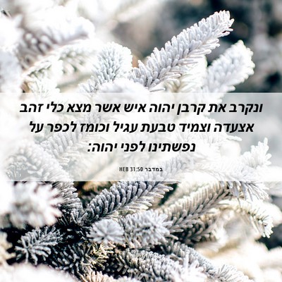 Picture 06 - במדבר 31:50 HEB - ונקרב את קרבן יהוה איש אשר - Bible Verse Picture