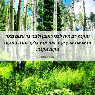 Picture 06 - במדבר 32:1 HEB - ומקנה רב היה לבני ראובן - Bible Verse Picture