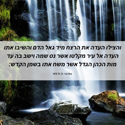 Picture 06 - במדבר 35:25 HEB - והצילו העדה את הרצח מיד גאל - Bible Verse Picture