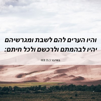 Picture 06 - במדבר 35:3 HEB - והיו הערים להם לשבת - Bible Verse Picture